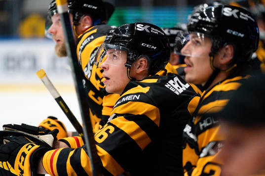 Skellefteås Rickard Hugg