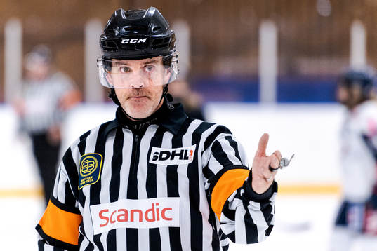 Domare Henrik Fluch