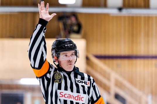 Domare Henrik Fluch
