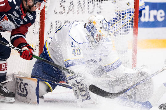 Leksands målvakt Mantas Armalis