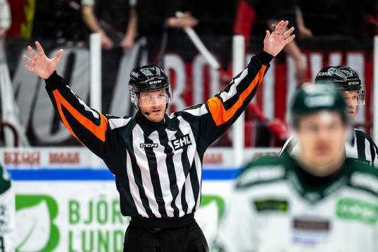 Domare Daniel Eriksson