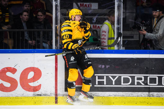Skellefteås Andreas Wingerli jublar