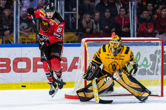 Luleås Radek Muzik och Skellefteås målvakt Gustaf