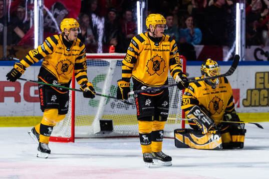 Skellefteås Jonathan Johnsson, Rickard Hugg och målvakt