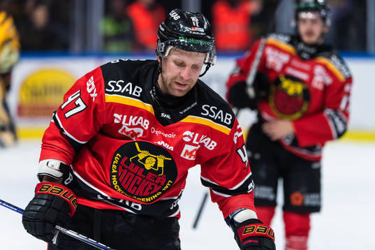 Luleås Leo Komarov deppar