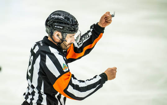 Domare Mattias Enroth