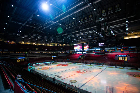 Monitor ERP Arena
