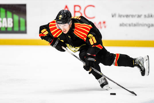 Brynäs Dmytro Timashov