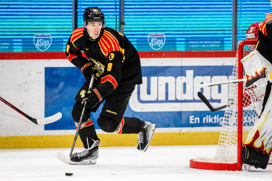 Brynäs William Strömgren