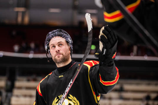 Brynäs Johan Larsson jublar