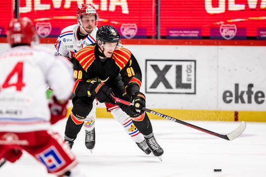 Brynäs David Sklenicka