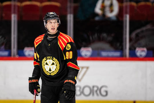 Brynäs David Sklenicka deppar