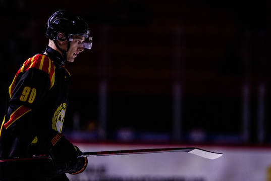 Brynäs David Sklenicka