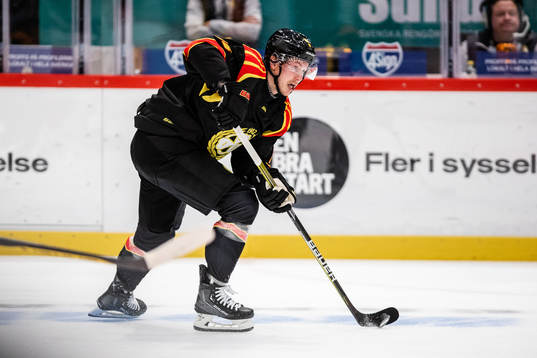 Brynäs Nick Olesen
