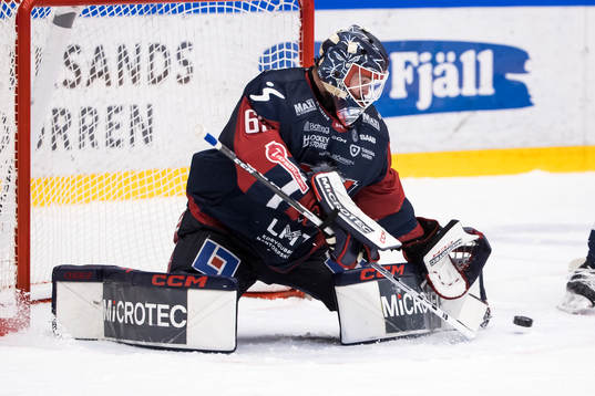 Linköpings målvakt Marcus Högberg