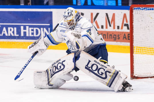 Leksands målvakt Mantas Armalis