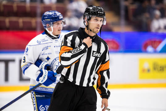 Domare Mikael Andersson