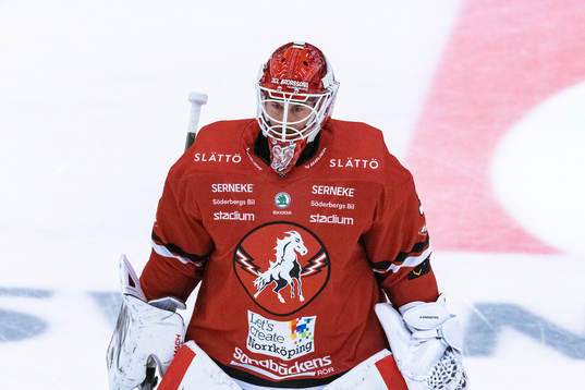 Vita Hästens målvakt Tobias Sandberg