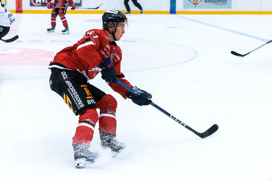 Vita Hästens Georg Weigelt