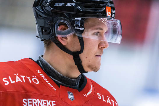 Vita Hästens Eric Borg