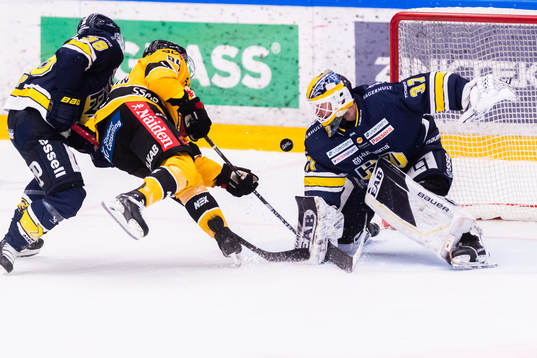 HV71s Nichlas Torp och målvakt Jonas Gunnarsson samt