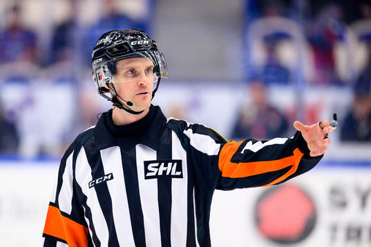 Domare Stefan Johansson