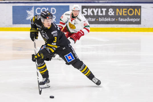 Västerås Ludvig Östman