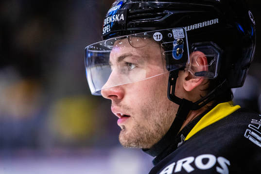 Västerås Ludvig Jardeskog