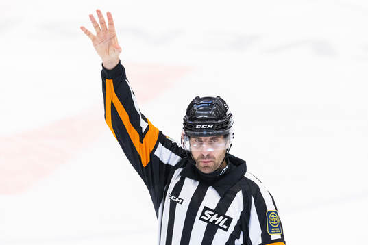Domare Mikael Sjöqvist