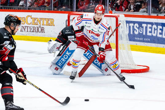 Timrås Robin Alvarez