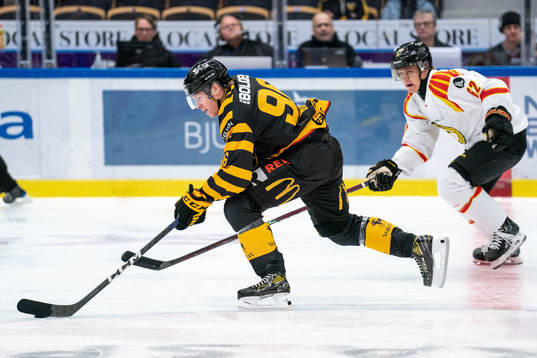 Skellefteås Rickard Hugg