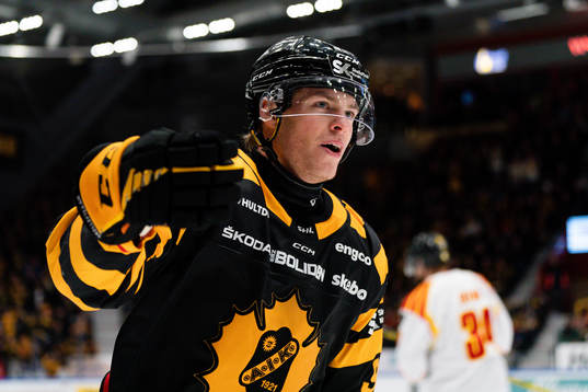 Skellefteås Rickard Hugg jublar