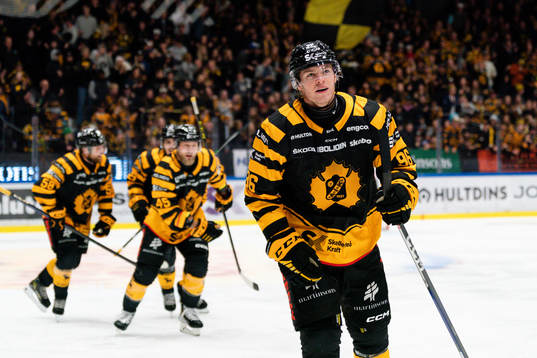 Skellefteås Rickard Hugg jublar