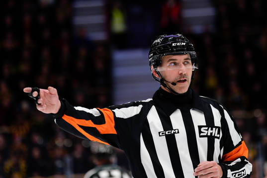 Domare Linus Öhlund
