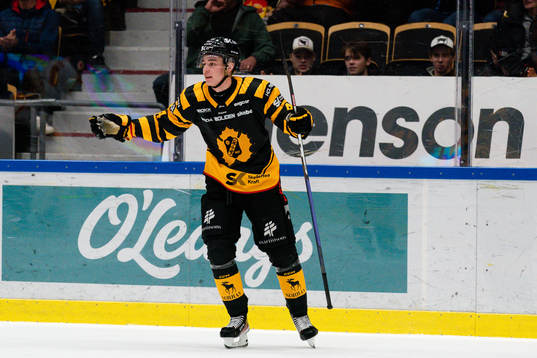 Skellefteås Elias Salomonsson jublar