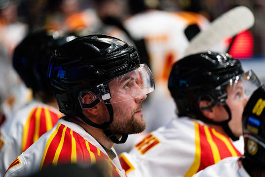 Brynäs Johan Larsson