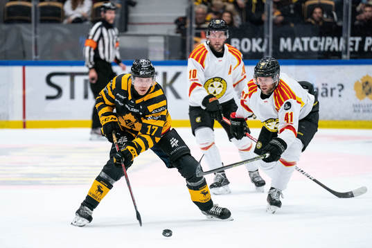 Skellefteås Pär Lindholm och Brynäs Greg Scott