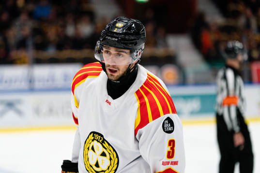 Brynäs Niklas Friman