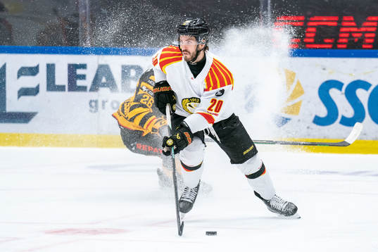 Brynäs Oula Palve