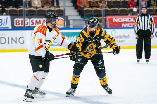 Brynäs Johan Larsson och Skellefteås Jonathan Pudas