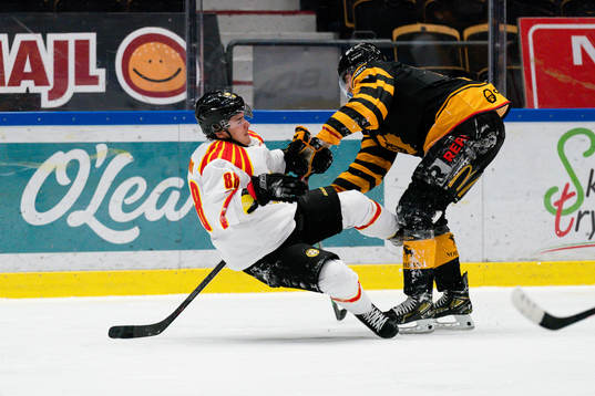 Brynäs Dmytro Timashov och Skellefteås Petter Granberg