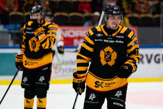 Skellefteås Max Lindholm
