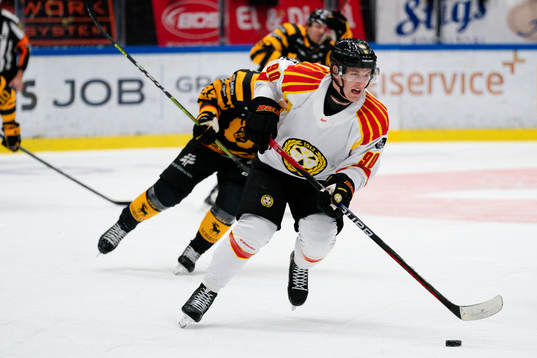 Brynäs David Sklenicka