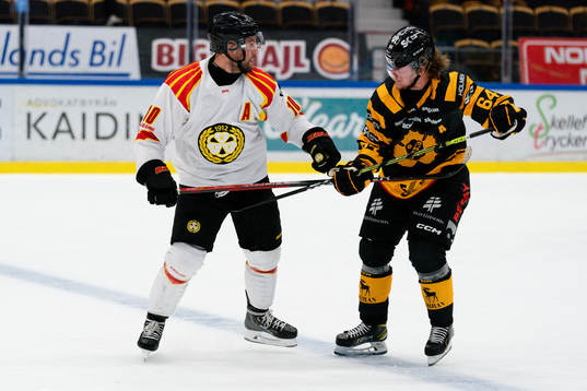 Brynäs Johan Larsson och Skellefteås Jonathan Pudas