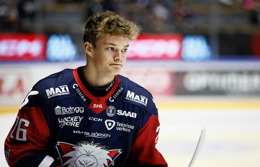 Linköpings Fabian Wagner