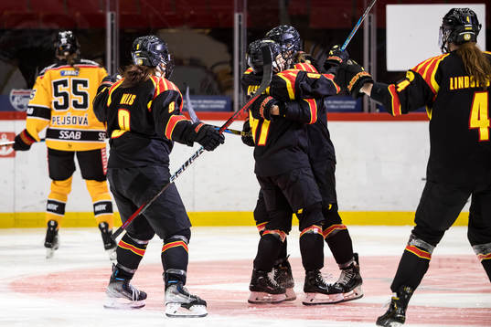 Brynäs jubel