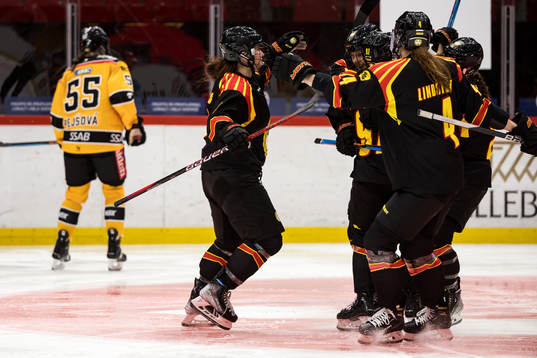 Brynäs jubel