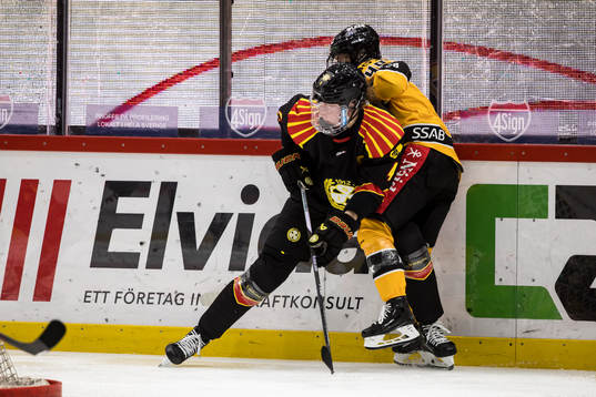 Brynäs Rosa Lindstedt och Luleås Noora Tulus