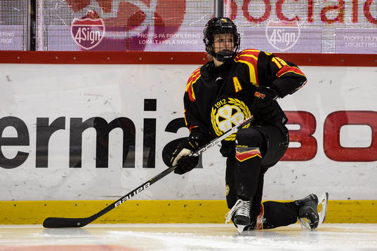 Brynäs Lara Stalder
