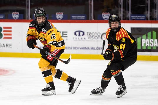 Luleås Petra Nieminen och Brynäs Anna Meixner